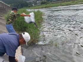 釜の口堰下